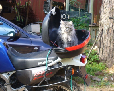 �������, ����� ���������� � ������ ������